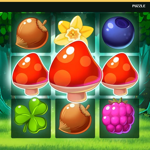 Forest Match