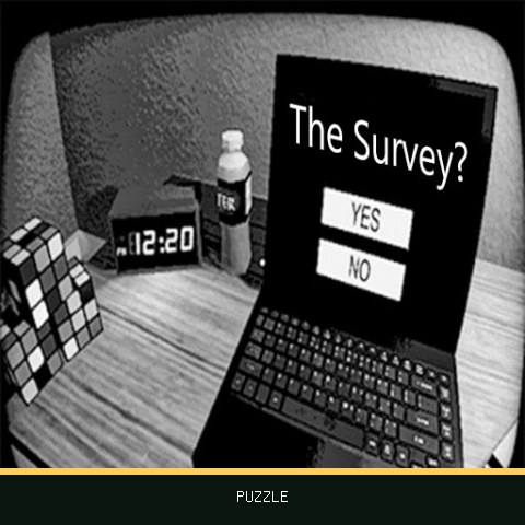 THE SURVEY