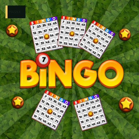Bingo Revealer