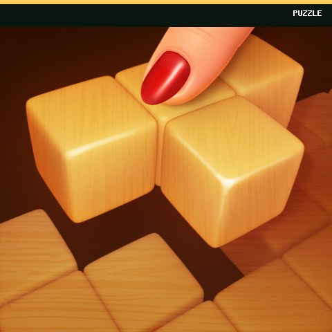 Wood Block Puzzle 3