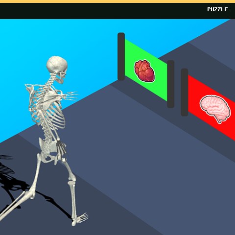 Human Evolution Run